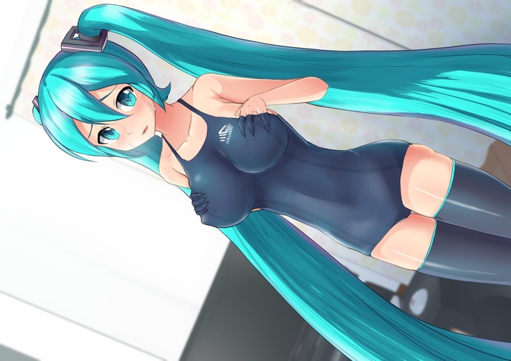 巨乳スク水ミクさんのハメ撮り生放送