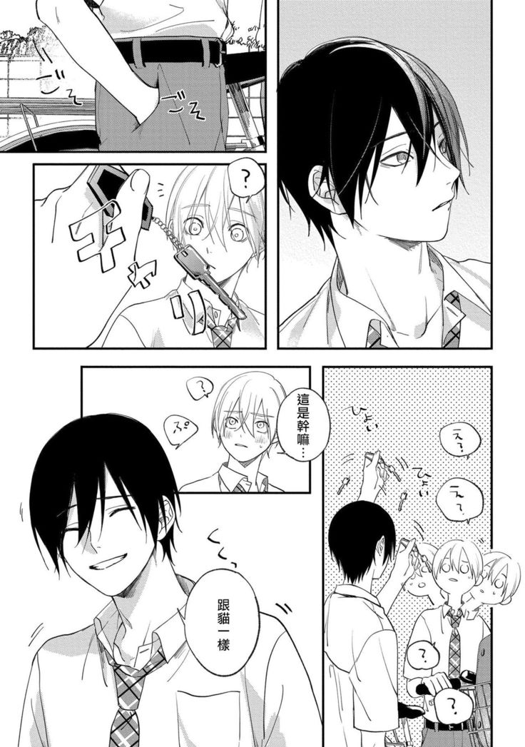 Houkago Virginity - Virginity afterschool 1-5 完结