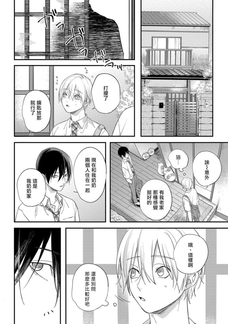 Houkago Virginity - Virginity afterschool 1-5 完结