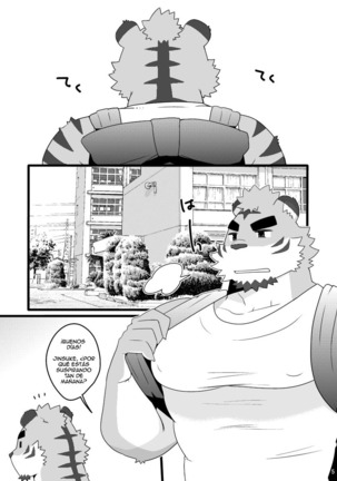 Image 4377163