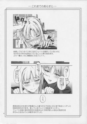 Home Sweet Home ~Fate Hen 6~ Page #4
