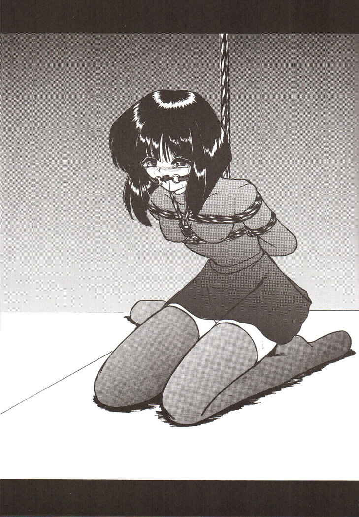 Silent Saturn SS vol. 9
