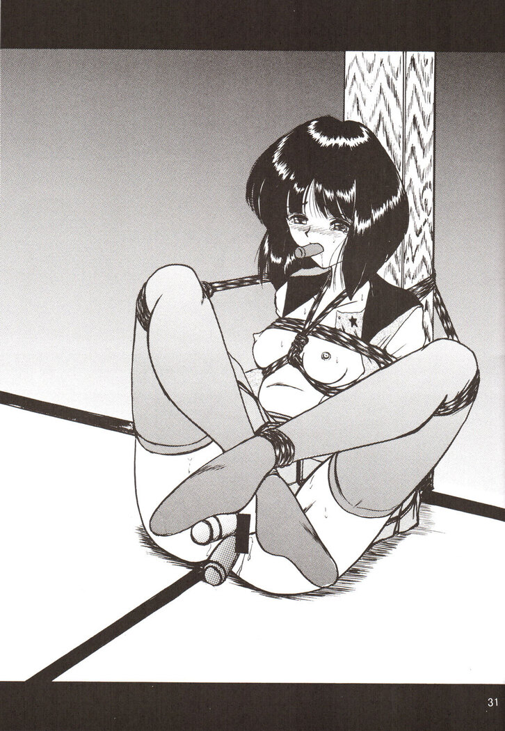 Silent Saturn SS vol. 9