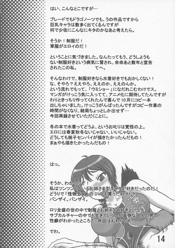 Kakihoudai 17