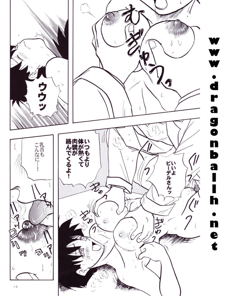 Dragon Ball Z - Wakayo