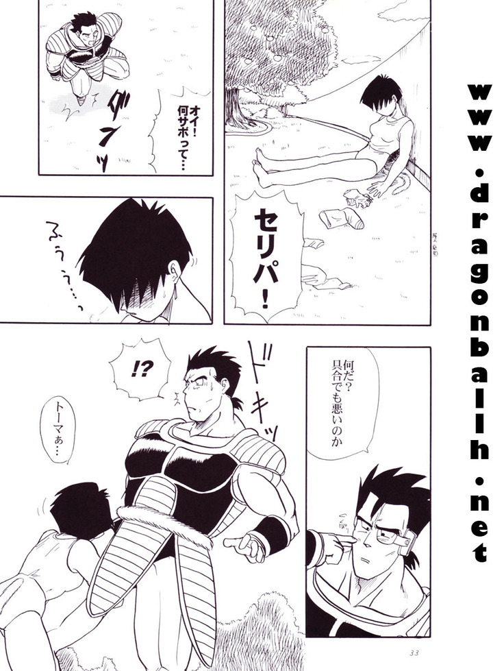 Dragon Ball Z - Wakayo