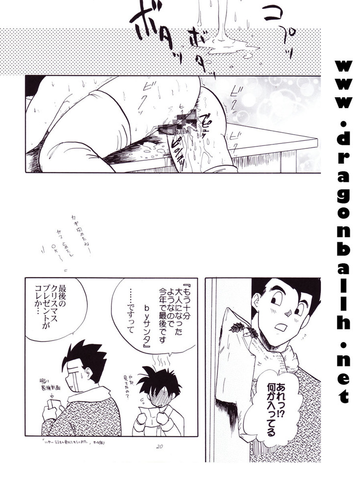 Dragon Ball Z - Wakayo