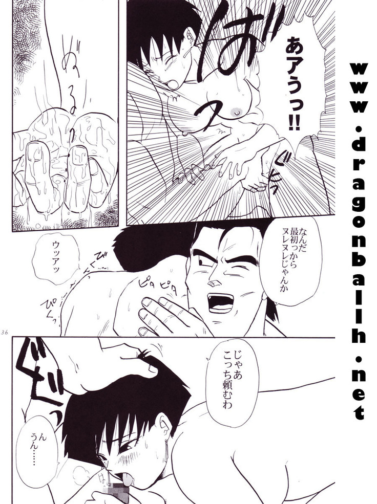 Dragon Ball Z - Wakayo