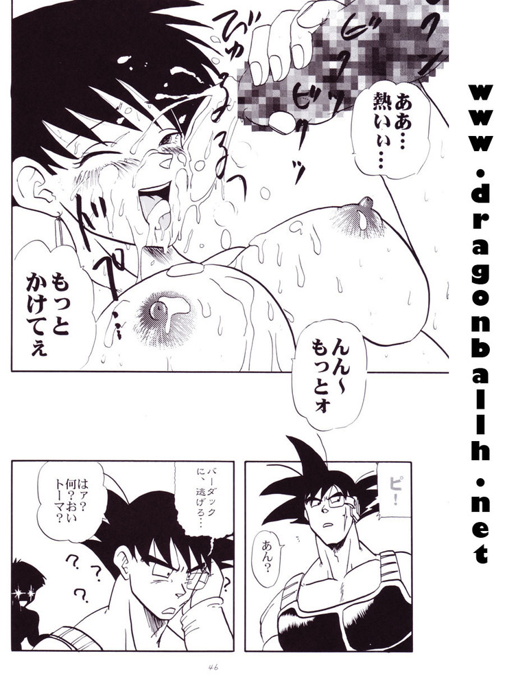 Dragon Ball Z - Wakayo