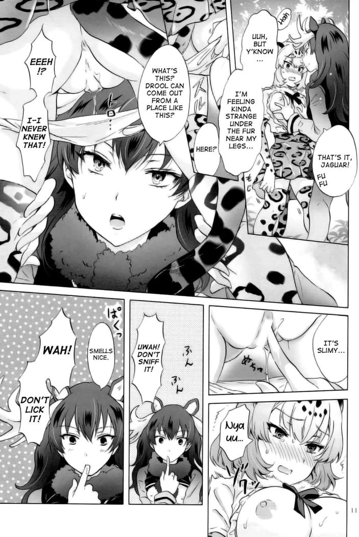 Jaguar wa Tabun Tatakawanai | Jaguar  Doesn't Fight