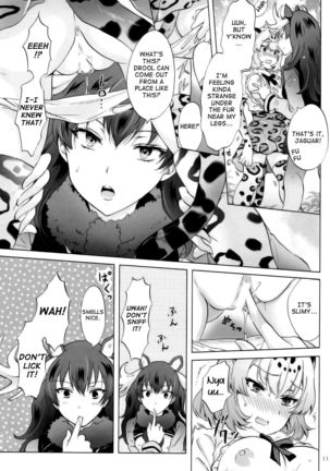 Image 3634969