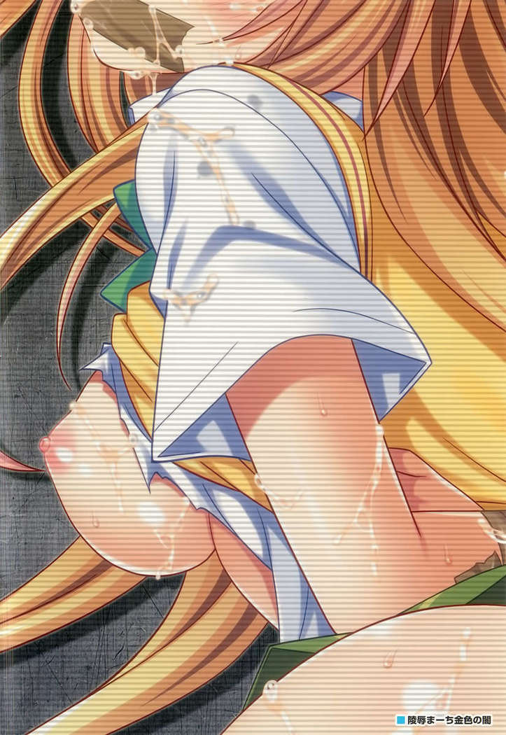Ryoujoku March Konjiki no Yami