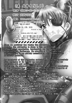 Shin Hanjuuryoku XLI Page #38