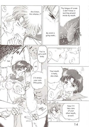 Star Platinum Page #14