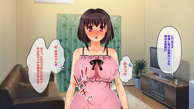 Iinari Imouto! Nakadashi Choukyou Nikki