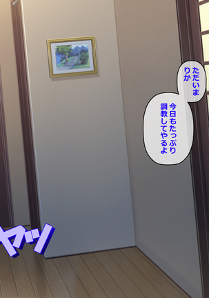 Iinari Imouto! Nakadashi Choukyou Nikki Page #290