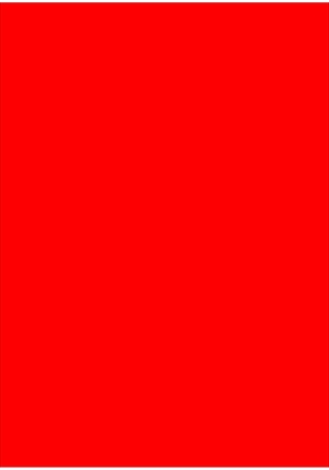 Image 2775706