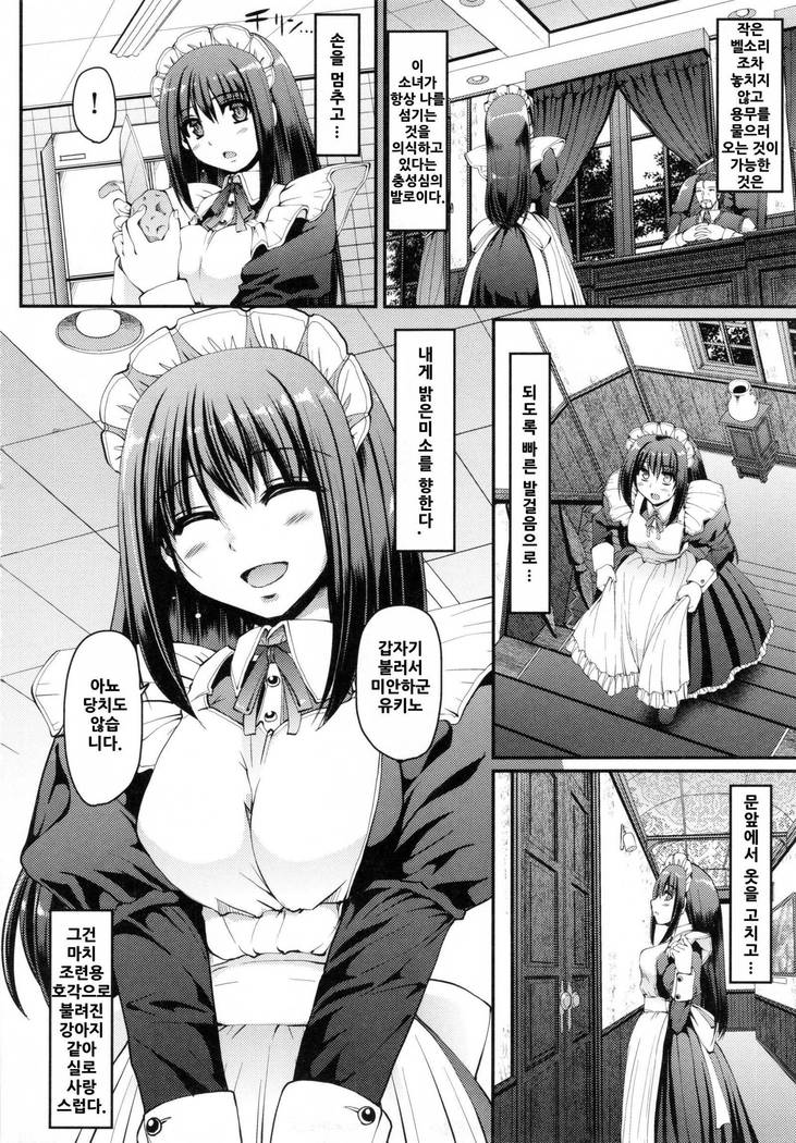 Seiippai Gohoushi Maid