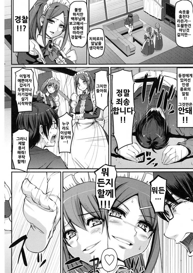 Seiippai Gohoushi Maid