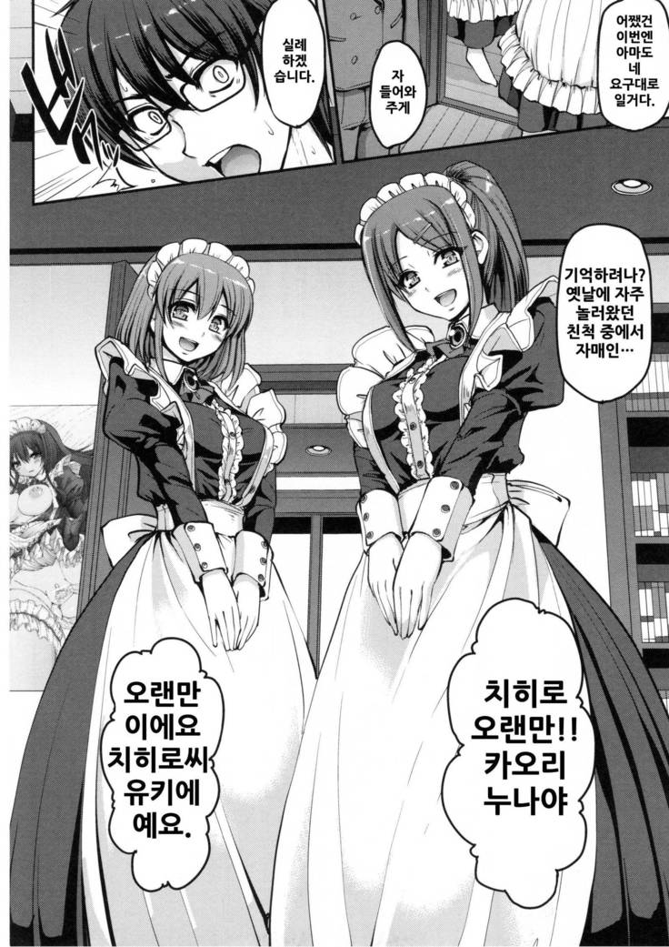 Seiippai Gohoushi Maid