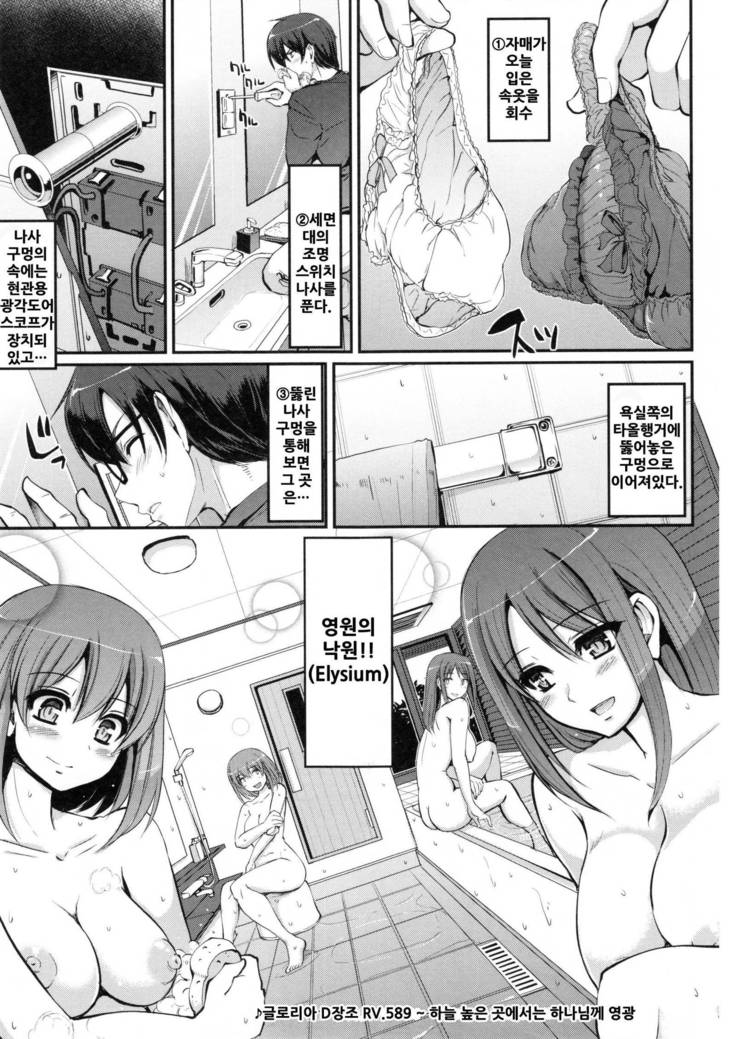Seiippai Gohoushi Maid