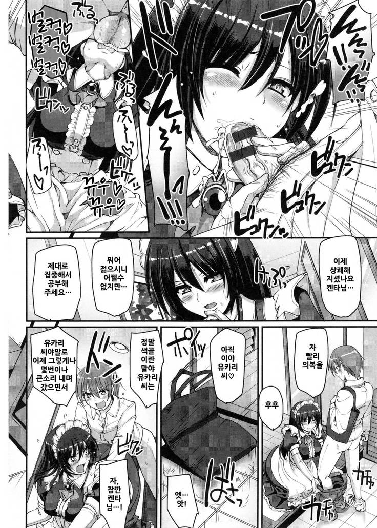 Seiippai Gohoushi Maid