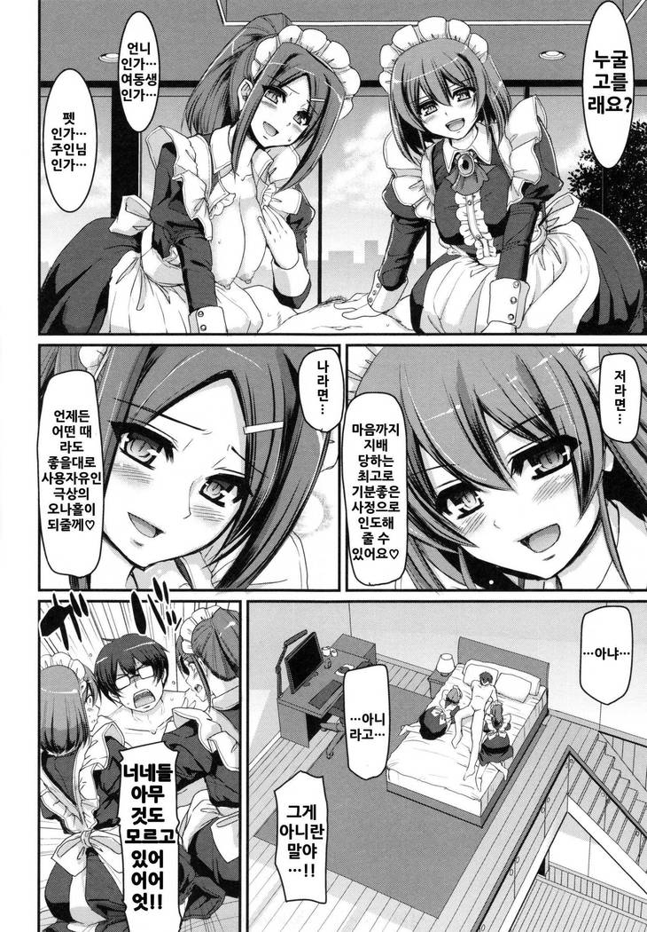 Seiippai Gohoushi Maid