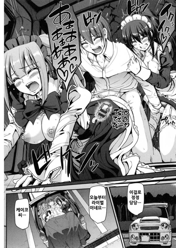 Seiippai Gohoushi Maid