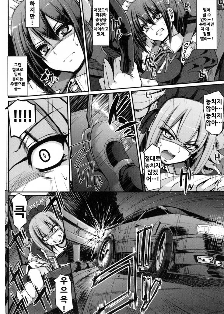 Seiippai Gohoushi Maid