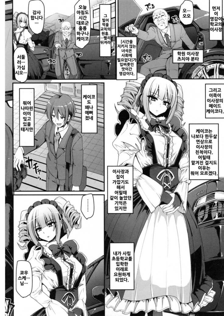 Seiippai Gohoushi Maid