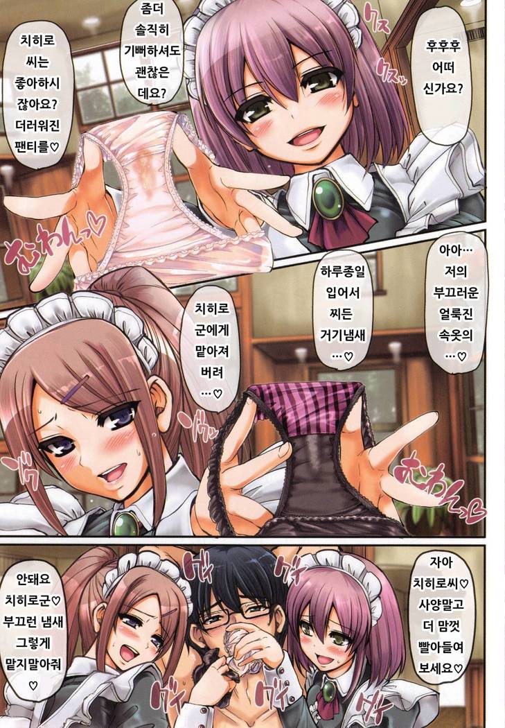 Seiippai Gohoushi Maid