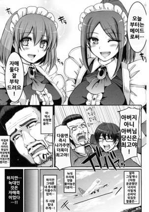 Seiippai Gohoushi Maid Page #17