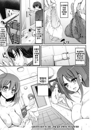 Seiippai Gohoushi Maid - Page 19