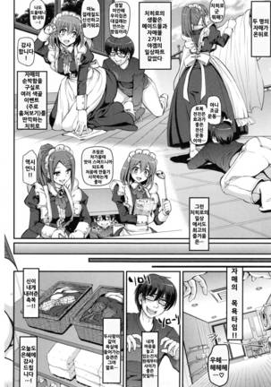 Seiippai Gohoushi Maid Page #18