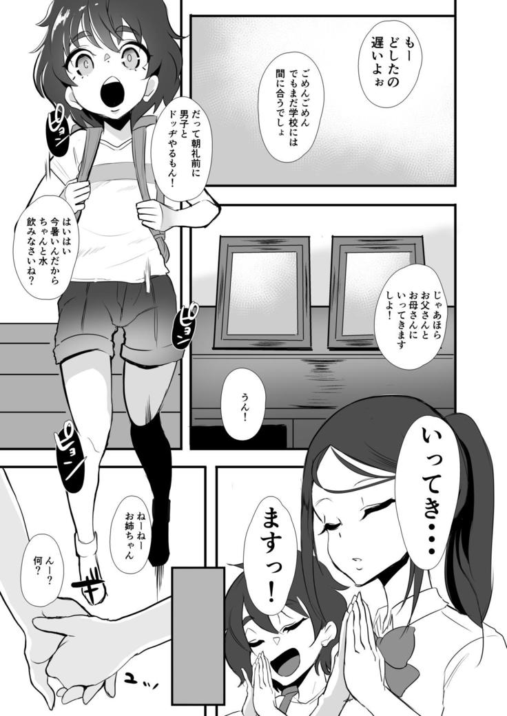 Himawari no Kage