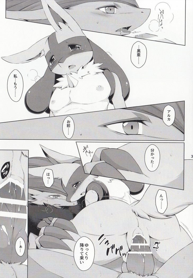 Kyoka-Suigetsu 2/2