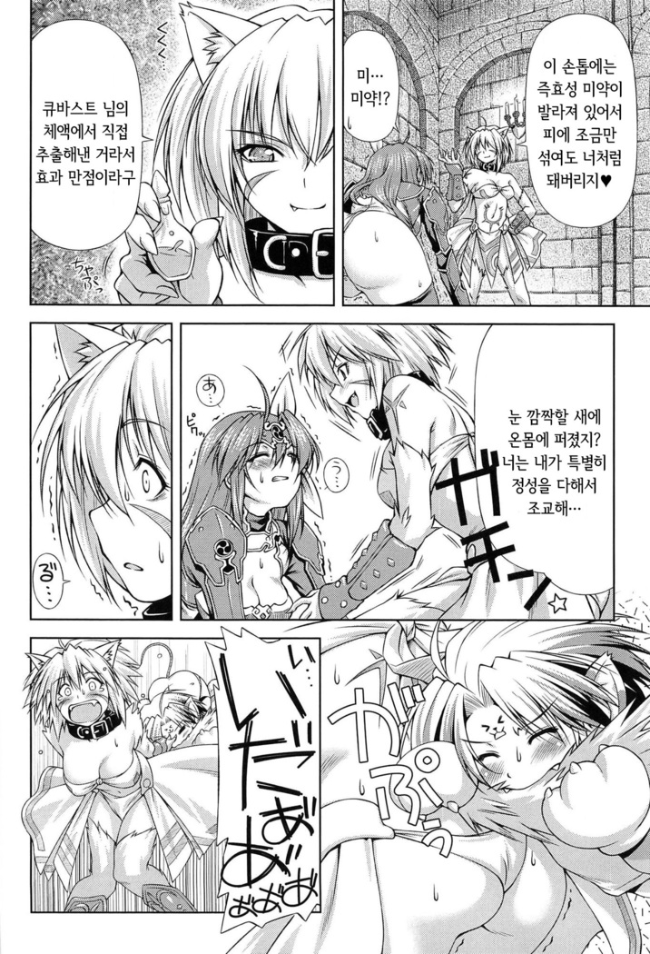 Ikazuchi no Senshi Raidy ~Haja no Raikou~ THE COMIC | 번개의 전사 라이디 ~파사의 뇌광~ THE COMIC