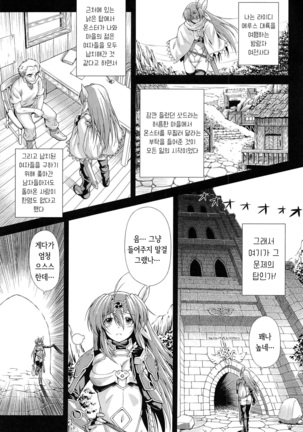 Ikazuchi no Senshi Raidy ~Haja no Raikou~ THE COMIC | 번개의 전사 라이디 ~파사의 뇌광~ THE COMIC