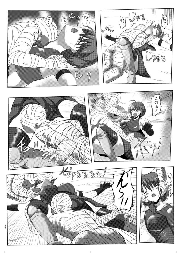 アーシャさんが敵にやられるだけの本