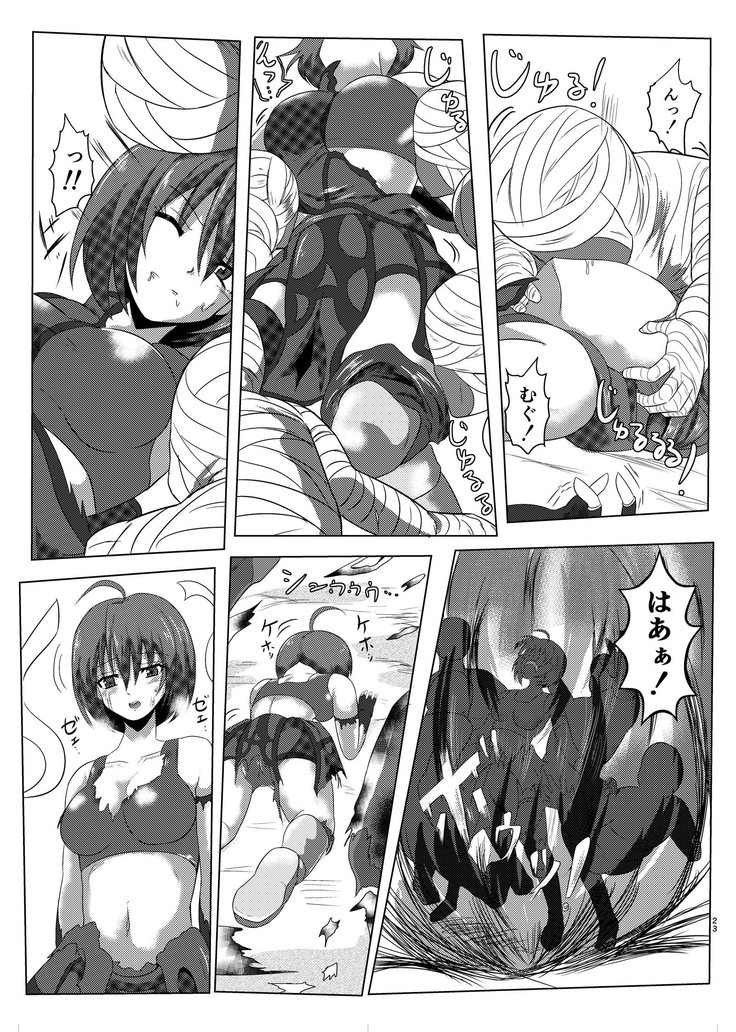 アーシャさんが敵にやられるだけの本