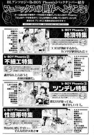 b-BOY Phoenix Vol.10 Odougu Tokushuu Page #261