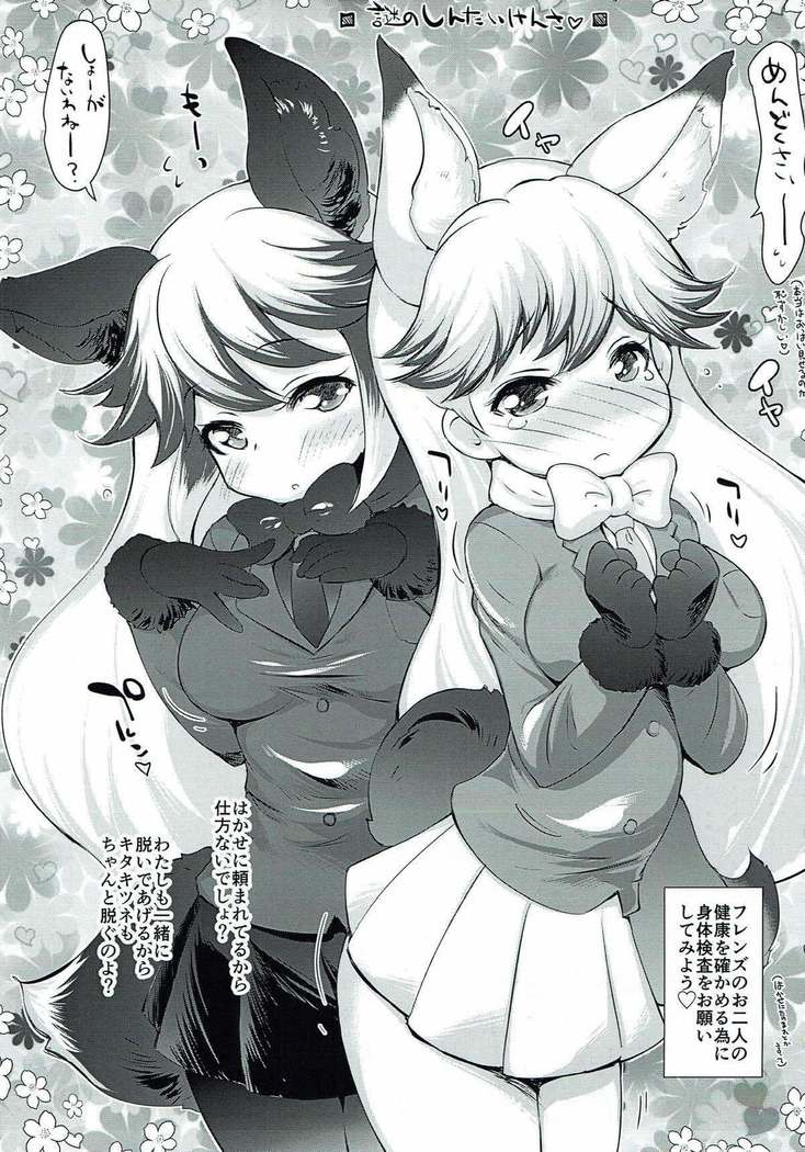 SILVER NORTH