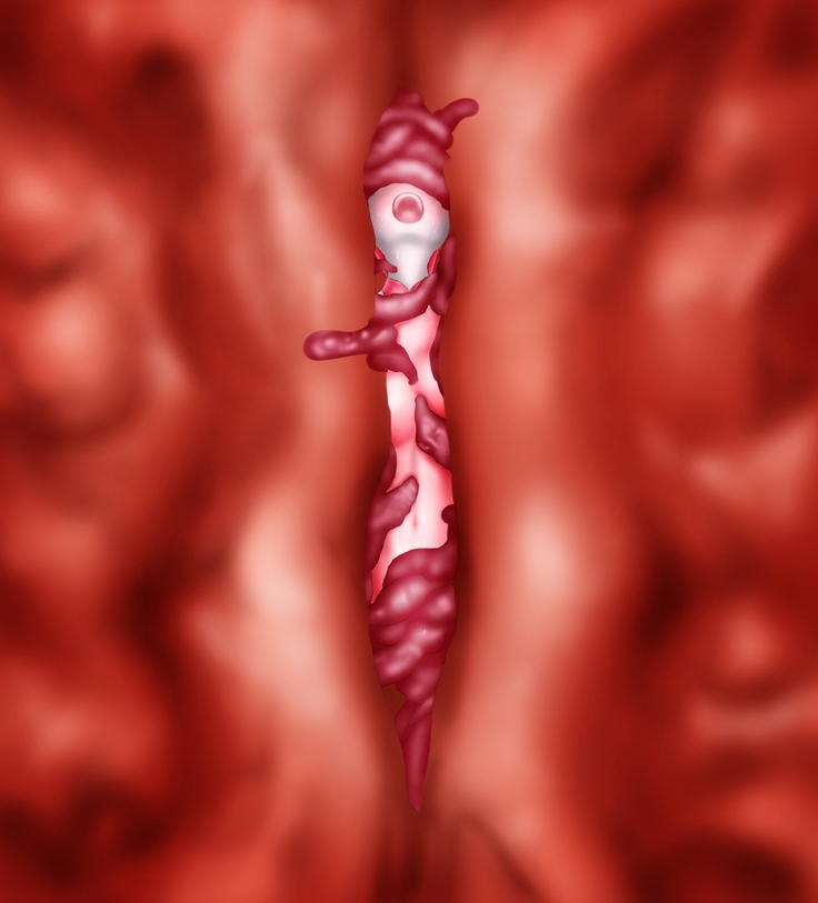 Saint · Woman Tao FILE 2  "Meat of tentacles"