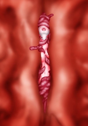 Saint · Woman Tao FILE 2  "Meat of tentacles" Page #77