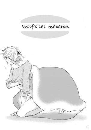 WOLF'S CAT Macaron: