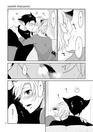 WOLF'S CAT Macaron: