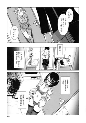 Futanari Yodoushi Hatsujou-ki Page #102