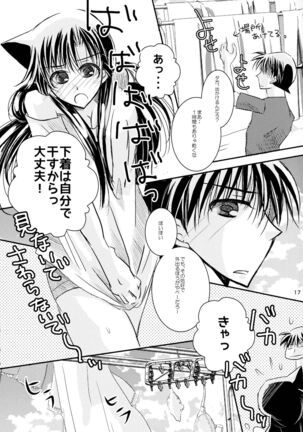 (SPARK11) [T.K.H.K (Hayami Aya)] MACARON-CHOCOLAT-DOLCE (Detective Conan) - Page 17