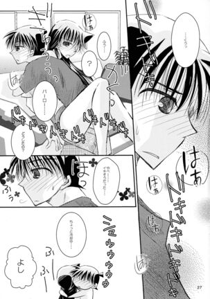 (SPARK11) [T.K.H.K (Hayami Aya)] MACARON-CHOCOLAT-DOLCE (Detective Conan) - Page 27