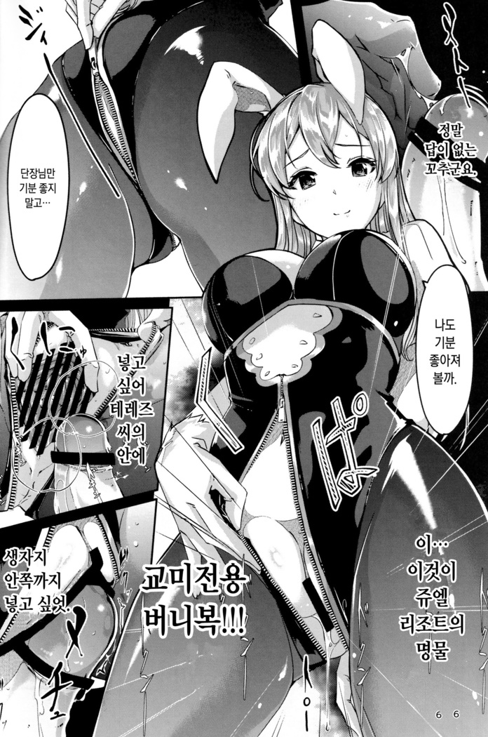 Ecchi na Usagi wa Suki desu ka